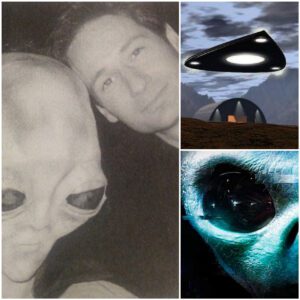 The Cosmic Enigma: NASA Scientist’s Claim about Extraterrestrial Intervention In this intriguing article, we will delve into the controversial claim of a NASA scientist, who maintains that we live in a matrix that was created by the intervention of an extraterrestrial species