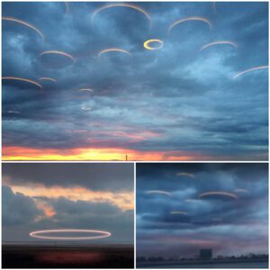 Among the clouds in the sky over the Russian River, a group of disc-shaped UFOs conceals itself, below is a leaked video ‎👇👇👇