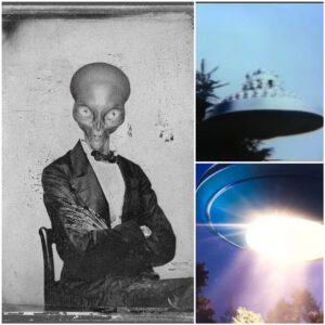 Exploring the Uncharted: UFO Sightings and Celestial Wonders - See detail in comment 👇👇👇