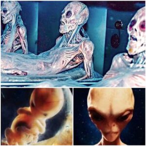 Alien Beings: Exploring the Humanoid Form in the Cosmos