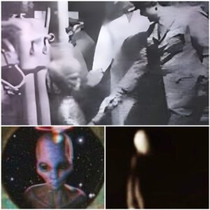 Alien Abductions: Unraveling Recurrent Patterns and Personal Accounts