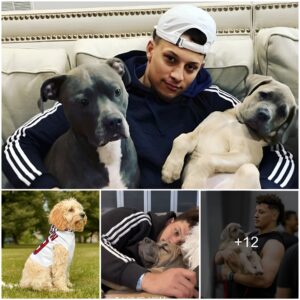 Sharing a heartwarming moment, Patrick Mahomes posts a joyful encounter with his lifelong pet dog. They hug and sleep together, winning fans over – LATEST NEWS TODAY.