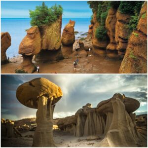 Unusual 'Mushroom rock' (also called Pedestal rock) in Tamanrasset, Saharian desert, Algeria. This naturally occurring rock is formed as a result of wind erosion and weathering