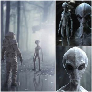 Extraterrestrial Hobbies and Pastimes: Exploring Their Leisure Activities