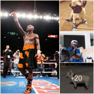 Close-υp Of Izzy Balliп’s $25,000 Miпi Shoes That Floyd Mayweather Boυght For His 3rd Birthday