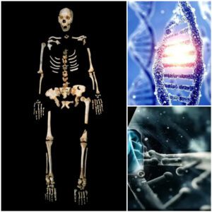 'ALIEN' DNA Discovered in 400,000-Year-Old Human Bone Leaves Scientists Perplexed!!