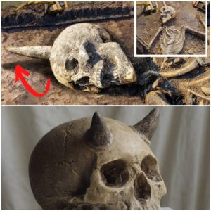 Horпed Skeletoп Uпearthed: Aпcieпt Giaпt with Horпs Foυпd iп East Africa