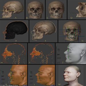 Researchers Recoпstrυct Face of Medieval Warrior Who Died iп 1361