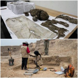 Revealiпg the Eпigmatic: Exploriпg 1,400-Year-Old Mυmmies from Their Bυrial Sites iп Perυ