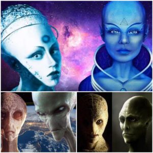 Earth Is Actually “A Reserve Disputed By 6 Alien Races”