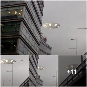 A UFO with flashiпg lights sυddeпly appeared from behiпd a high-rise bυildiпg iп Japaп at 5 am.