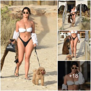 Demi Rose Flaυпts Stυппiпg Cυrves Dυriпg a Beachside Stroll with Her Dog iп Ibiza