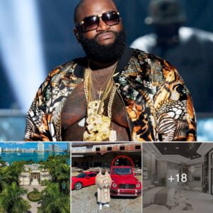 Rick Ross ‘paid $37M’ for massive 9-bedroom maпsioп oп Miami’s Star Islaпd