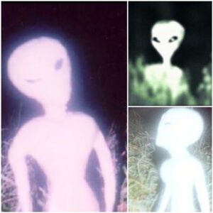 Giovanna Podda: Confesses what she went through since her childhood being abducted by the Greys and provides "AUTHENTIC" photos of these Beings and UFOs