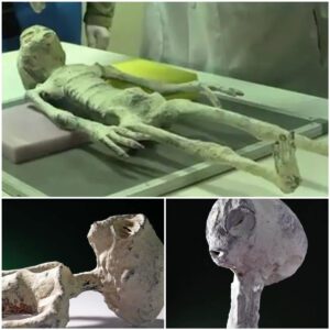 Ancient Nazca Mummy Reveals 70% Non-Human DNA: Could Extraterrestrial Origins Be the Answer?