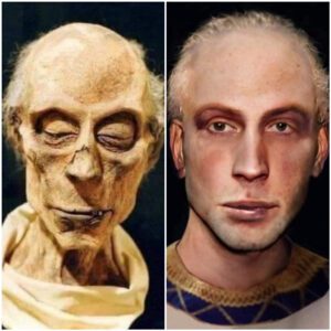 Utilizing the mummified remains of the Pharaoh’s face, the facial reconstruction of Ramses II was carried out