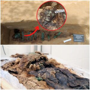 A NEWLY-found ancient mummy cocooned in "copper and best fur" for up to 1,300 years on the fringe of the Siberian Arctic was a member of an unknown civilisation with surprising links to Persia. ‎