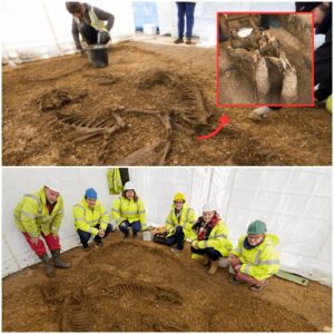 Remarkable 2,200-Year-Old Celtic Warrior Grave Complete With Horses, Chariot, And Shield Unearthed In Yorkshire