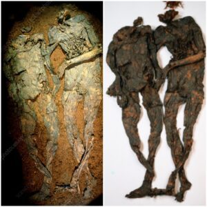 Unveiling the Enigma of the Weerdinge Men: Ancient Bog Bodies Frozen in Time