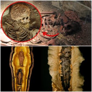 Two foetuses found in the tomb of Tutankhamun are very likely to have been twins and the children of the teenage Pharaoh,