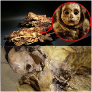 Extraordinary Discovery: Freeze-Dried Bodies Preserved for 500 Years, Including Buried Babies