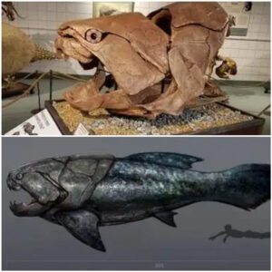 Prehistoric Sea Lord: The Dunkleosteus, Larger Than Megalodon, More Violent Than T-Rex