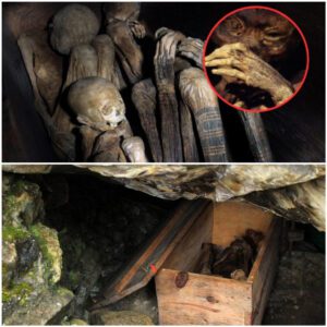 The Mystery Of The Smoked Mummies Of Papua New Guinea: Preserved Like Statues On Cliffs Through The Smoking Process