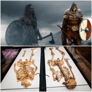 Two Vikings From The Same Family Reunited After 1,000 Years