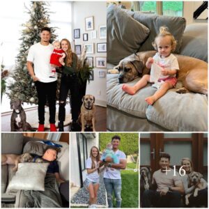 Patrick Mahomes Shares His Happy Moment When His Family Is Busy Preparing For The New Year And His Two Pet Dogs Also Help Clean Up, Making Fans Love Them.