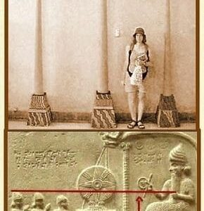 • The Anunnaki • An average size human standing is equal to the height of an Anunnak's knee while sitting NOT standing otherwise even shorter.