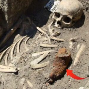 The Enigmatic Burial: Sozopol’s Toothless “Vampire Skeleton” and Its Iron Companion