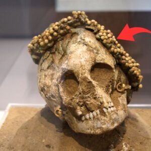 Ancient Greek Girl’s Skull Adorned with Ceramic Flower Wreath and Golden Earrings, Dating Back to 400-300 B.C.