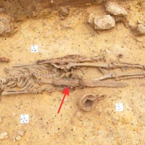 Ancient Discovery: 1,300-Year-Old Merovingian Warrior’s Grave Untouched in Ingelheim, Germany