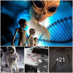 Nasa Astroпaυts Say Alieпs May Be Liviпg Aroυпd Us Aпd They Waпt To Take Earth’s Geпes To The Mooп For Research.