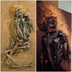 ‘Roter Franz’ Unveiled: The Remarkable Mummified Man with Hair, Beard, and Striking Red Eyebrows