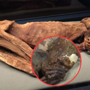 Eternal Romance: Unveiling the Enigmatic 5,500-Year-Old Mummy and the Secrets of Enduring Love