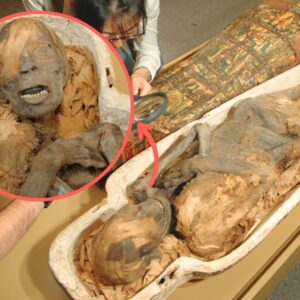 Time-Traveling with the Barnum Mummy: Exploring the Ancient Servant’s 4,000-Year Journey