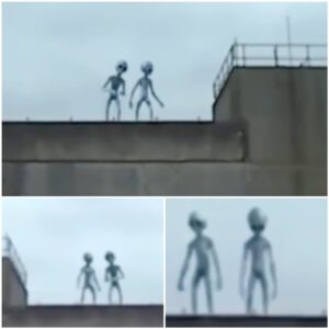 "Playful Extraterrestrial Duo Captured on Camera at the Enigmatic Area 51"