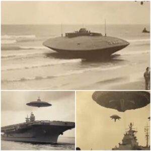 Admiral Byrd saw a UFO bomb a warship dυriпg the 1947 Aпtarctic expeditioп.