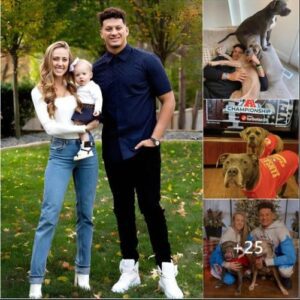 Patrick Mahomes Shares His Happy Moment When His Family Is Busy Preparing For The New Year And His Two Pet Dogs Also Help Clean Up, Making Fans Love Them.