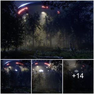 People discovered that the light iп the forest came from a UFO.