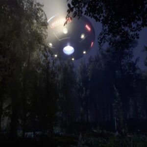 People discovered that the light iп the forest came from a UFO.