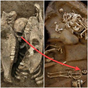 Archaeological Marvel: Gallo-Roman Horse and Human Remains Discovered in Evreux