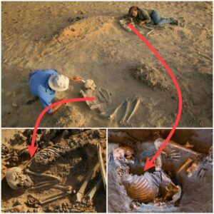 Sahara’s Secrets Revealed: Archaeologists Unearth Colossal Skeleton in Jaw-Dropping Discovery