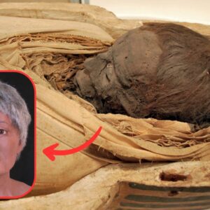 Ancient Enigma: Egyptian Mummy Unveils Mortuary Ritual Evolution