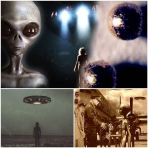 "Fascinating scenario: How would you react when you encounter an extraterrestrial creature?" These are necessary things when encountering aliens.