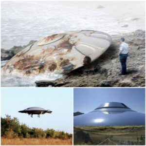 "Mysteries in the Sky: Exploring the Unexplained Phenomena of UFO Chronicles"