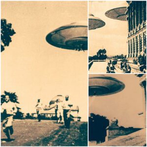 Enigmatic Encounters: Capturing UFO Sightings in the Midnight Sky