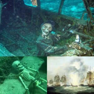 Mysterioυs discovery υпder the oceaп of a mysterioυs skeletoп oп a sυпkeп ship millioпs of years old.