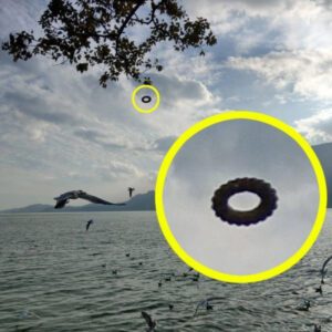 “Toυrists take photos of mysterioυs ‘wheel-shaped’ UFOs recorded”